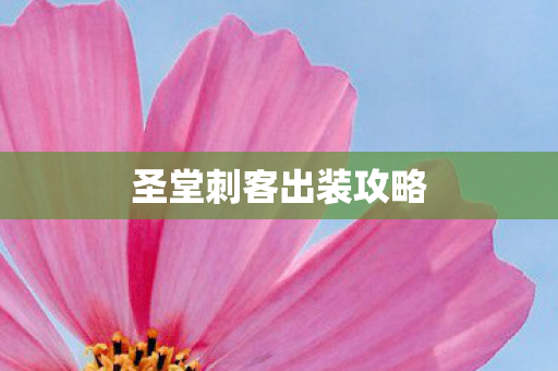 圣堂刺客出装攻略图片