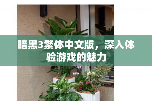深入体验游戏的魅力图片