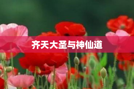 齐天大圣与神仙道图片