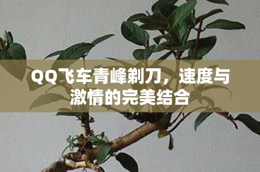 速度与激情的完美结合图片