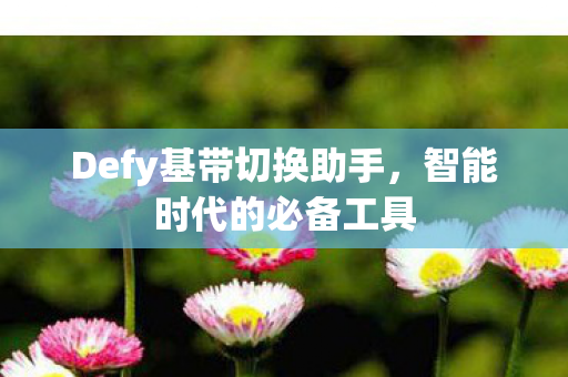 Defy基带切换助手图片