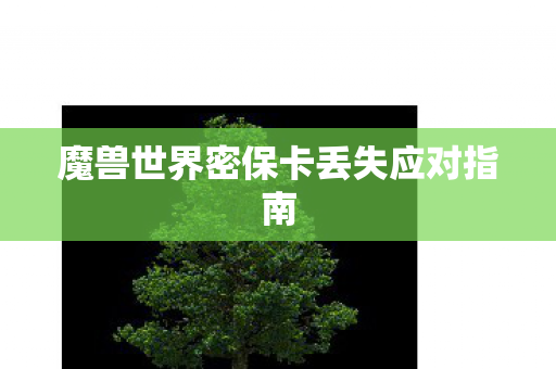 魔兽世界密保卡丢失应对指南图片