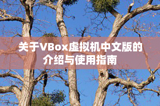 关于VBox虚拟机中文版的介绍与使用指南图片
