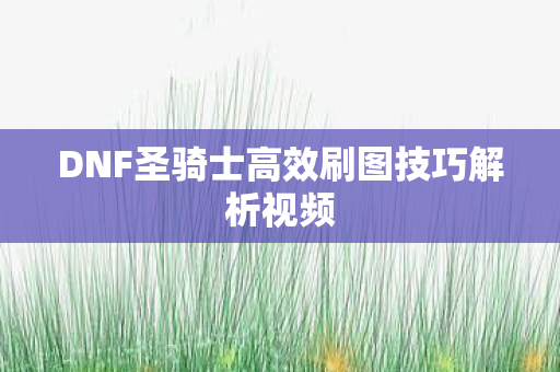 DNF圣骑士高效刷图技巧解析视频图片