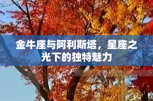 星座之光下的独特魅力图片