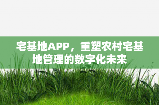 重塑农村宅基地管理的数字化未来图片