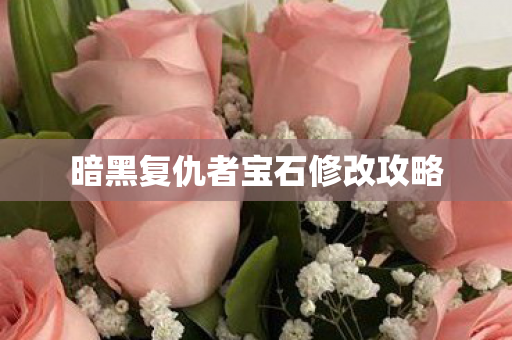 暗黑复仇者宝石修改攻略图片