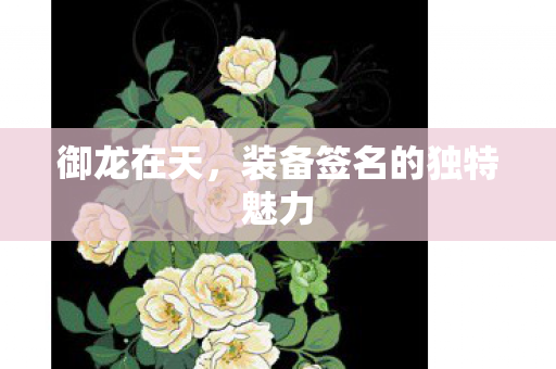 装备签名的独特魅力图片