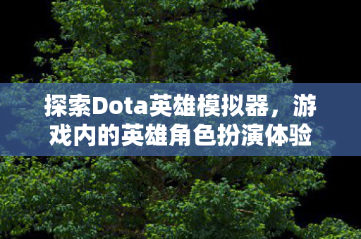 游戏内的英雄角色扮演体验图片