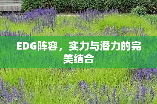 实力与潜力的完美结合图片