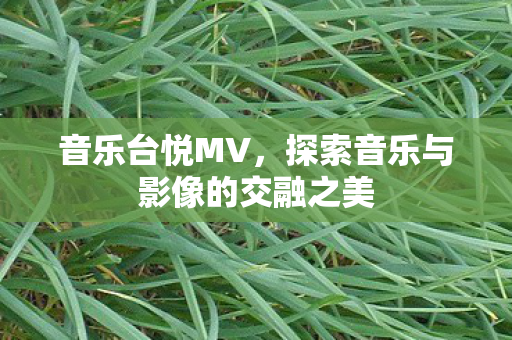 探索音乐与影像的交融之美图片