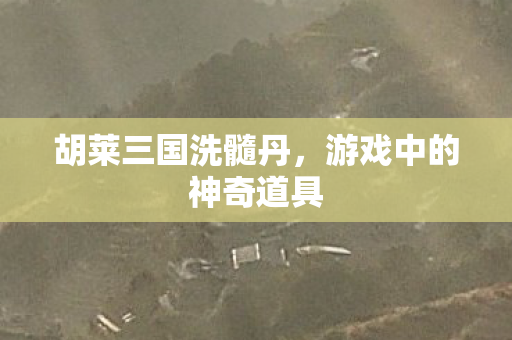 游戏中的神奇道具图片