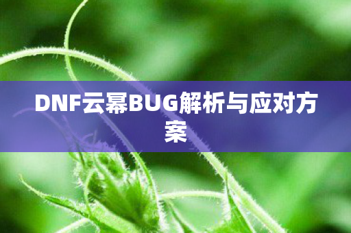 DNF云幂BUG解析与应对方案图片