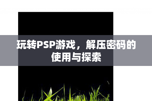 解压密码的使用与探索图片