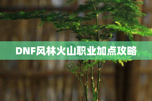 DNF风林火山职业加点攻略图片