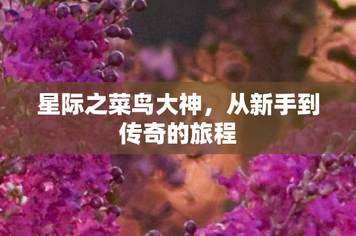 从新手到传奇的旅程图片