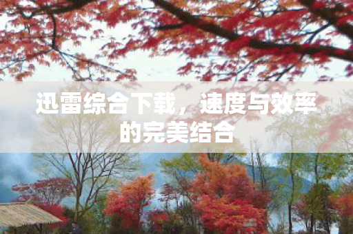 速度与效率的完美结合图片