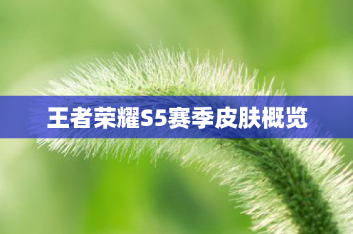 王者荣耀S5赛季皮肤概览图片