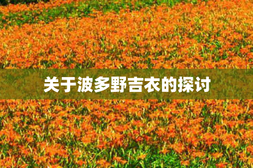 关于波多野吉衣的探讨图片
