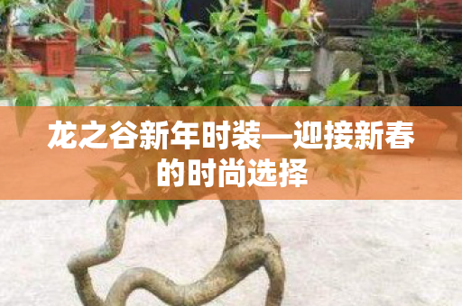 迎接新春的时尚选择图片