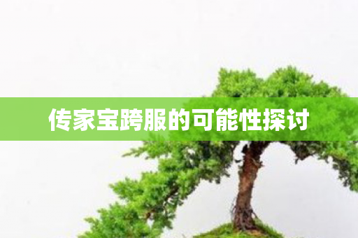 传家宝跨服的可能性探讨图片