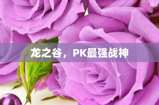 PK最强战神图片