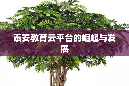泰安教育云平台的崛起与发展图片