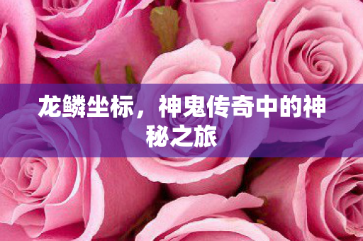 神鬼传奇中的神秘之旅图片