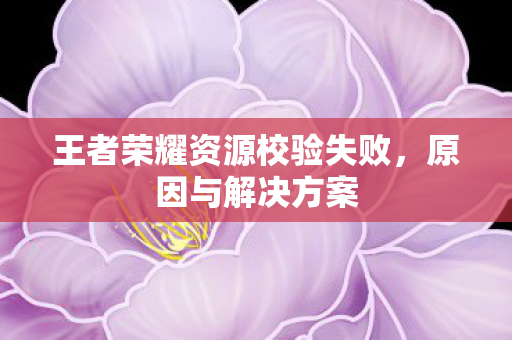 王者荣耀资源校验失败图片