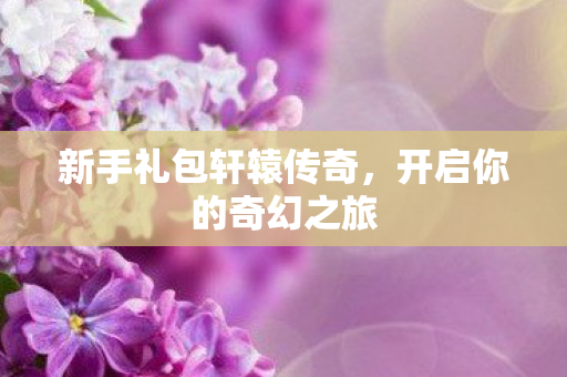 新手礼包轩辕传奇图片