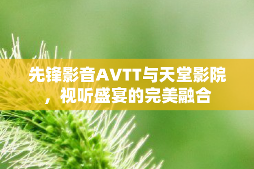 先锋影音AVTT与天堂影院图片