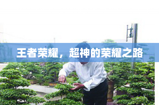 超神的荣耀之路图片