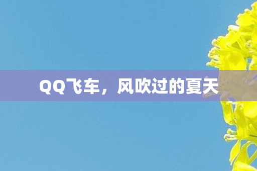风吹过的夏天图片