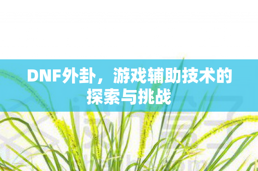 游戏辅助技术的探索与挑战图片