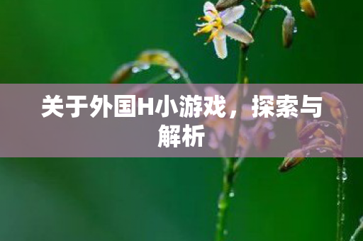 关于外国H小游戏图片