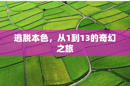 从1到13的奇幻之旅图片