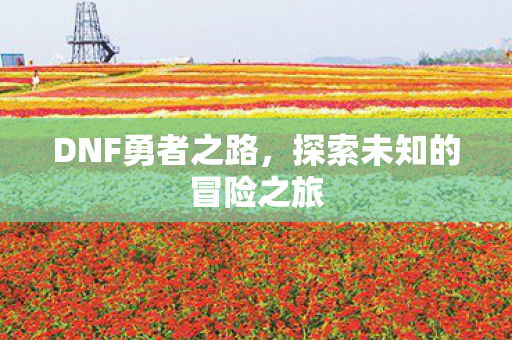 探索未知的冒险之旅图片