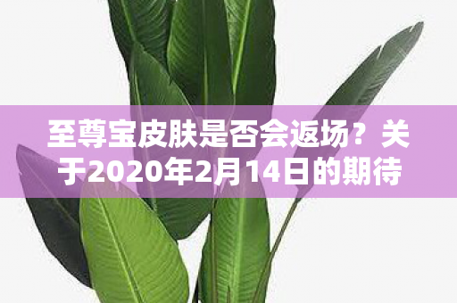 关于2020年2月14日的期待图片