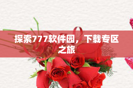 探索777软件园图片