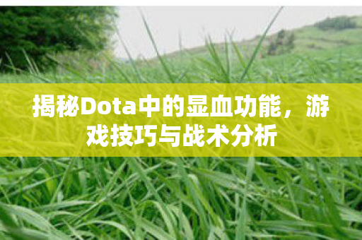 揭秘Dota中的显血功能图片