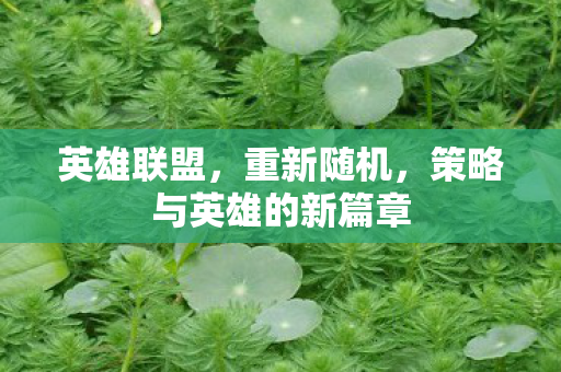 策略与英雄的新篇章图片