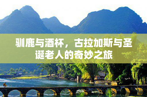 古拉加斯与圣诞老人的奇妙之旅图片
