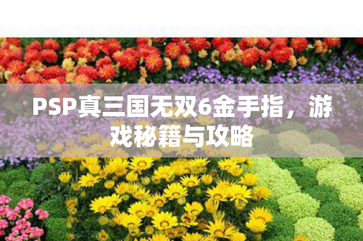 PSP真三国无双6金手指图片