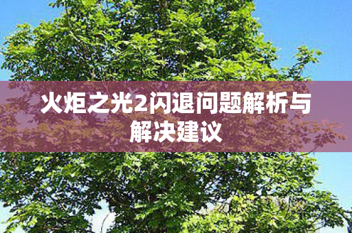 火炬之光2闪退问题解析与解决建议图片