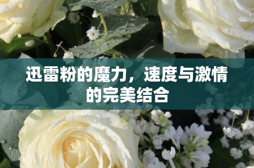 速度与激情的完美结合图片