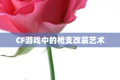 CF游戏中的枪支改装艺术图片