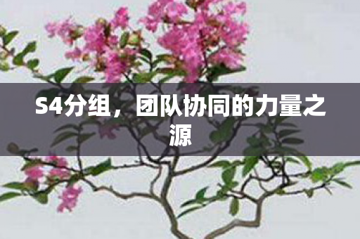 团队协同的力量之源图片
