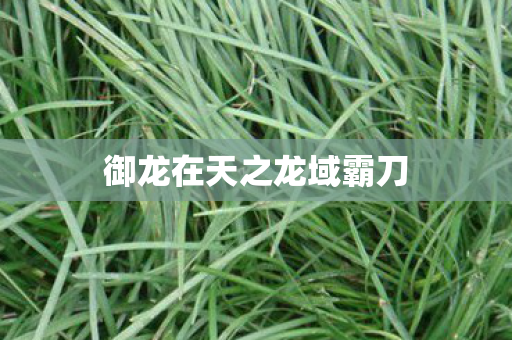 御龙在天之龙域霸刀图片