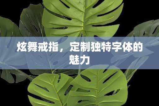 定制独特字体的魅力图片