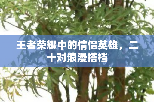 王者荣耀中的情侣英雄图片